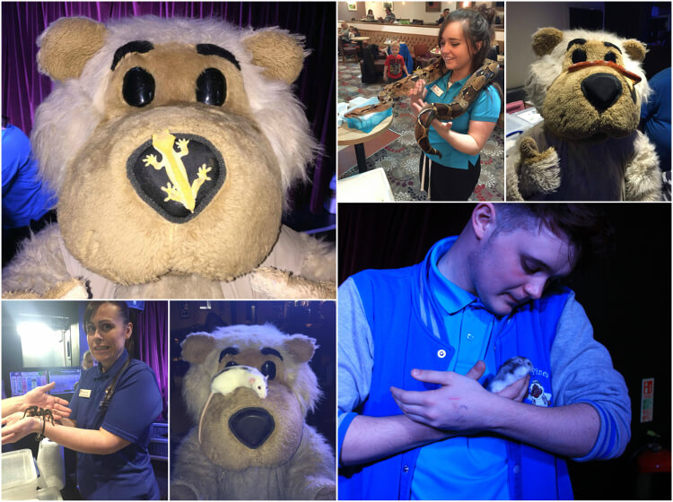 Collage photo of Charlie bear and his rangers holding different types of animals