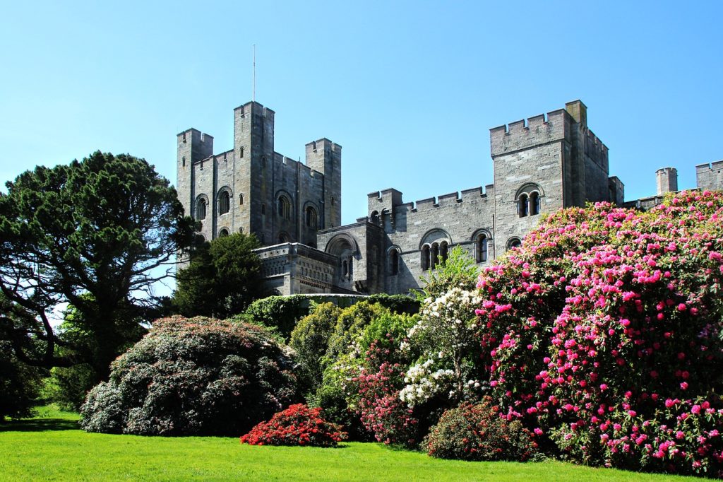 Exterior shot of Penrhyn castle surrounded by trees and bushes