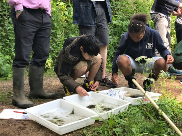 Bath Mill teams up with avon rivers trust Darwin Escapes