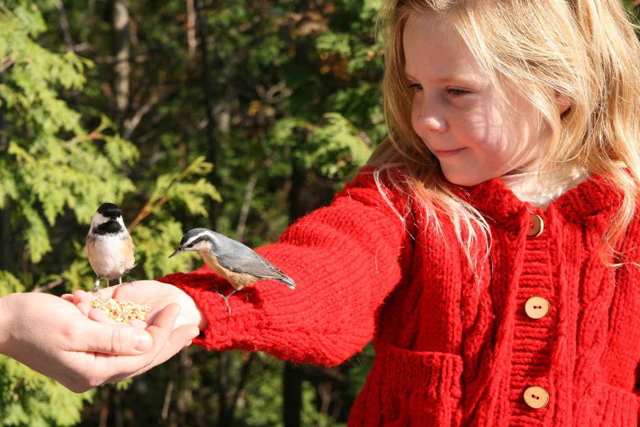 Have you visited Birdworld yet? Tilford Woods Darwin Escapes