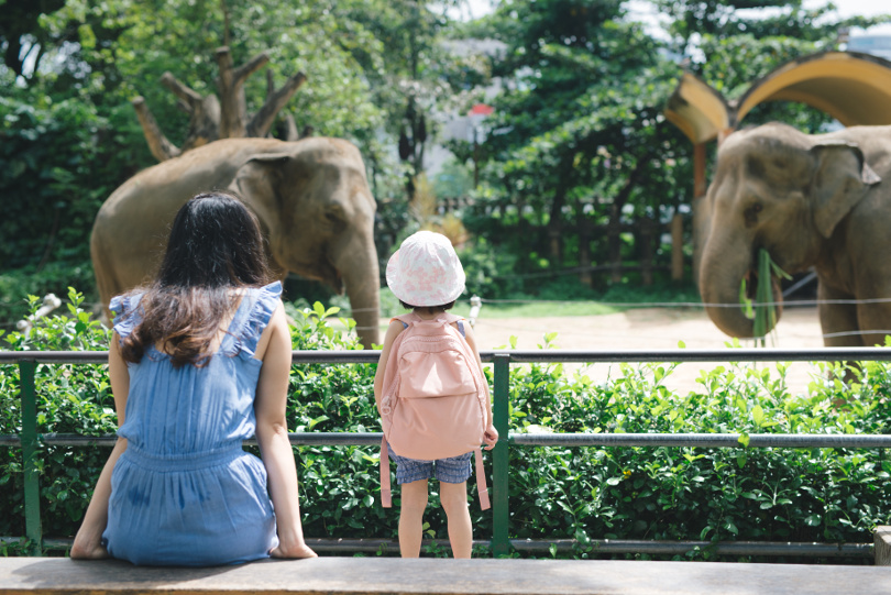 Mother and daughter look at Elephant in a zoo