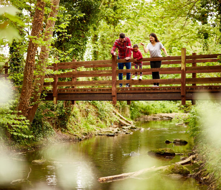 family dropping sticks from a bridge into the Newton Brook