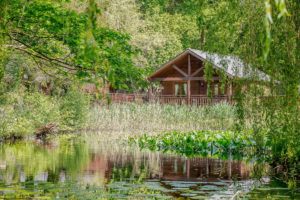 log cabin at tilford woods