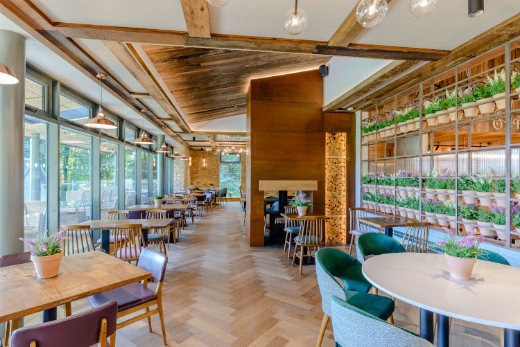 interior of the bistro restaurant with wall of windows on the left and wall of colourful flowers in pots on the right and tables in the middle