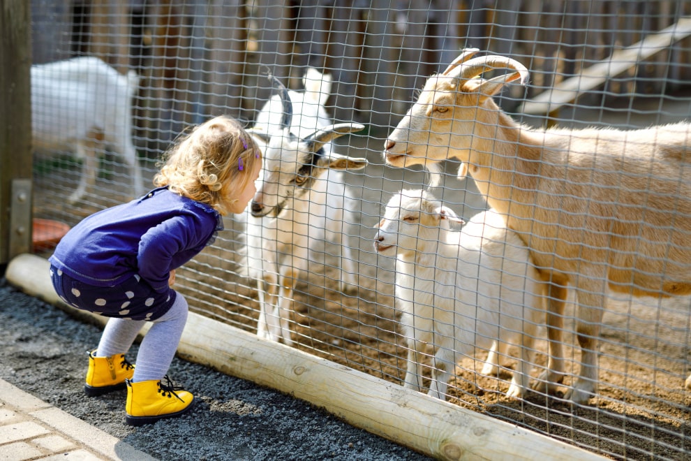 things to do in Norfolk - Snettisham Park