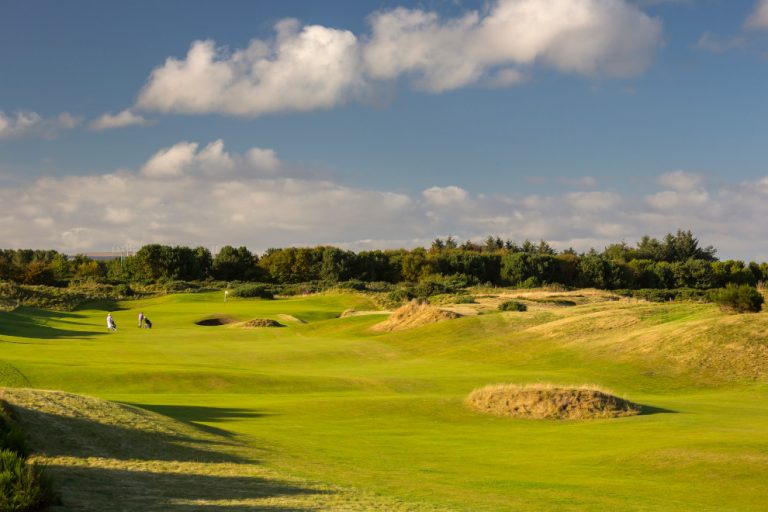 the Darwin Escapes variety show Darwin Escapes