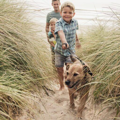 Young boy walking his dog on the beach with his family closely following behind