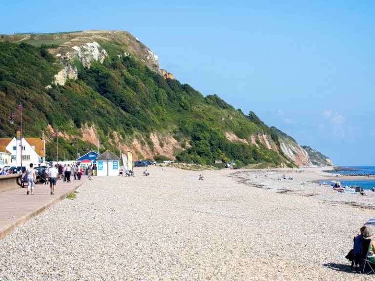 top tips when visiting Hawkchurch Darwin Escapes