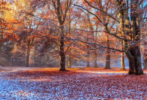 UK getaways perfect for autumn and winter