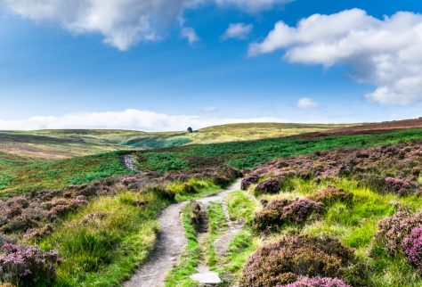 hidden gems in Yorkshire