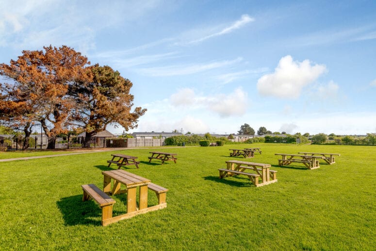 large playing field with seating areas at new pines