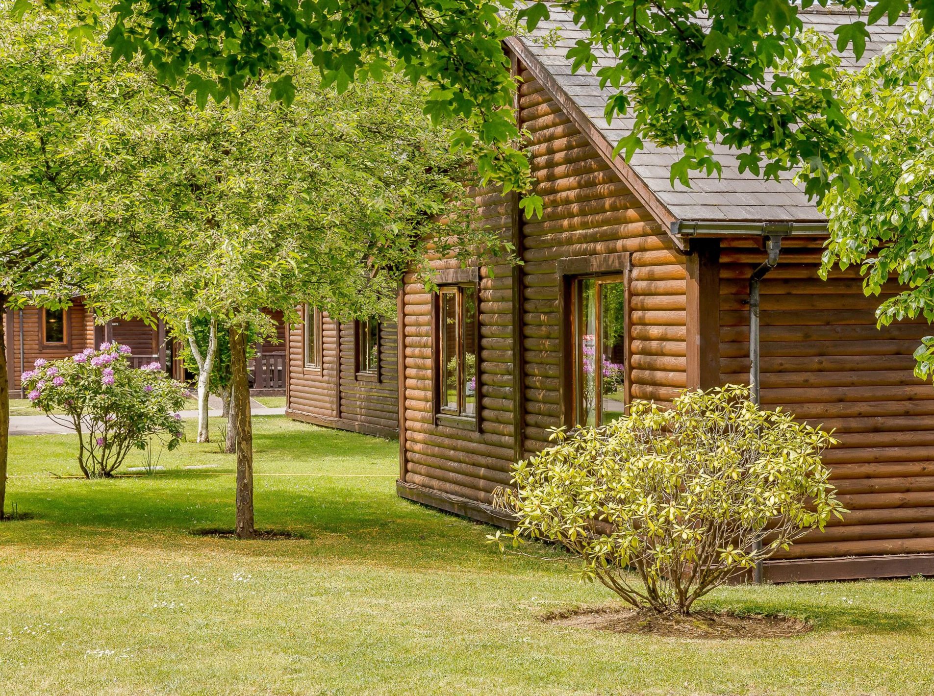 Tilford Woods lodges